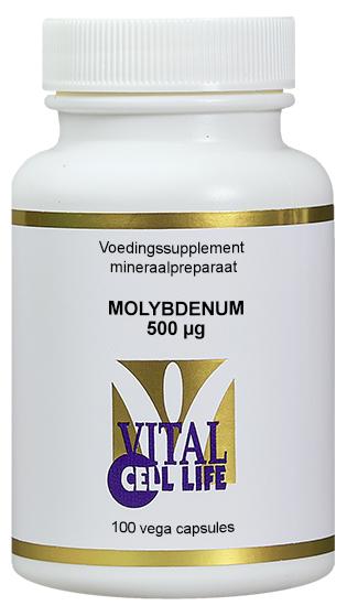 Molybdenum 500 mcg