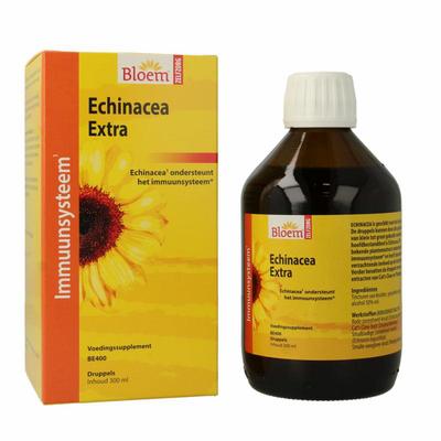 Bloem Echinacea extra