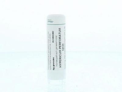 Homeoden Heel Hypericum perforatum 12CH