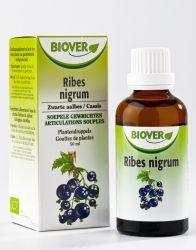 Biover Ribes nigrum bio