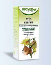 Vitis vinifera bio
