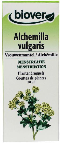 Alchemilla vulg tinctuur bio