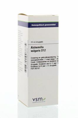 VSM Alchemilla vulgaris D12