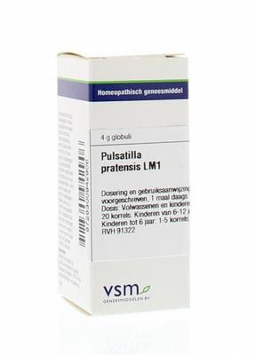 VSM Pulsatilla pratensis LM1