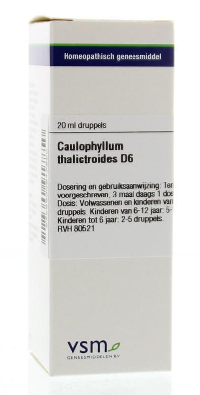 Caulophyllum thalictr D6