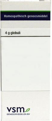 VSM Magnesium muriaticum LM30