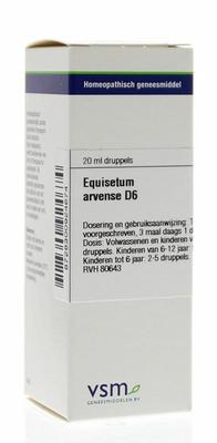 VSM Equisetum arvense D6