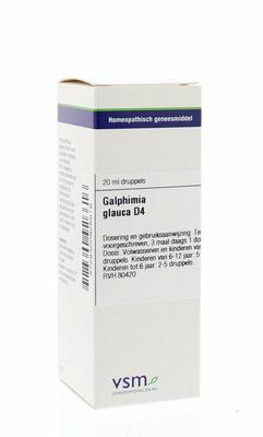 VSM Galphimia glauca D4