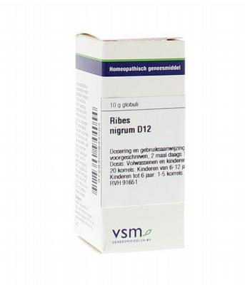 VSM Ribes nigrum D12