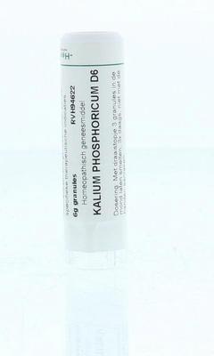 Homeoden Heel Kalium phosphoricum D6