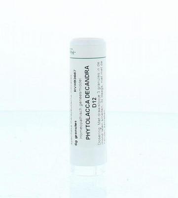 Homeoden Heel Phytolacca decandra D12