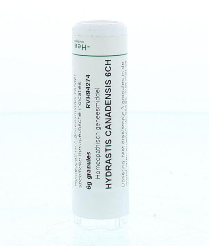 Hydrastis canadensis 6CH