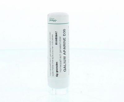 Homeoden Heel Ginkgo biloba LM30