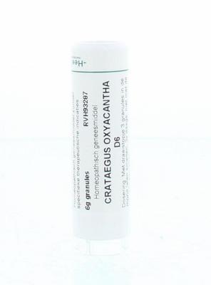 Homeoden Heel Crataegus oxyacantha D6