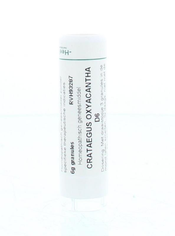 Crataegus oxyacantha D6