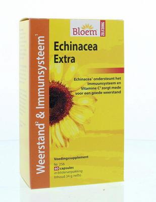 Bloem Echinacea extra