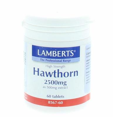 Lamberts Crataegus 2500mg (hawthorn)