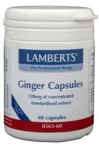 Lamberts Gember (ginger)