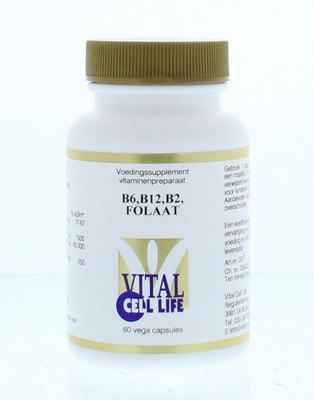 Vital Cell Life Vitamine B6/B12/B2 folaat Vital Cell Life Vitamine B6/B12/B2 folaat