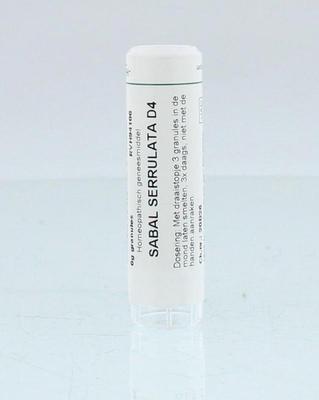 Homeoden Heel Sabal serrulata D4