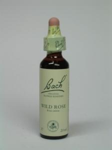 Bach remedies voor honden en paarden, du
