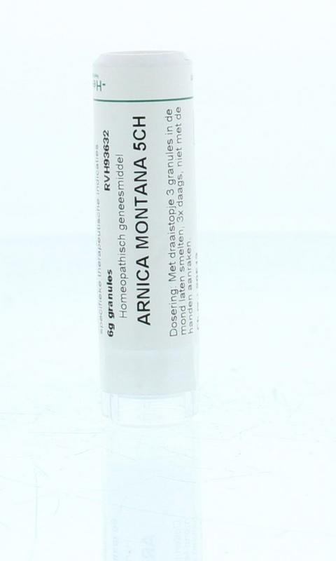 Arnica montana 5CH