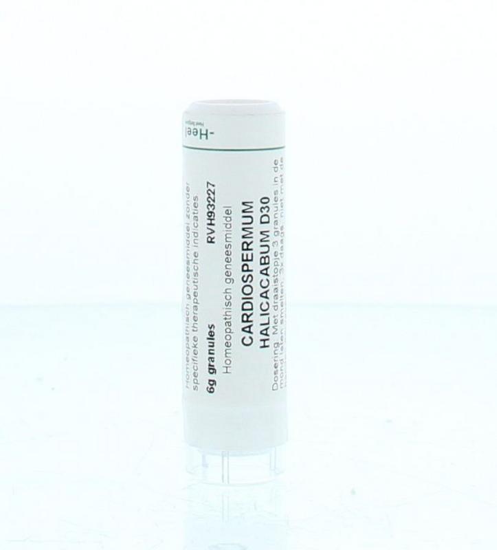 Cardiospermum halicacabum D30