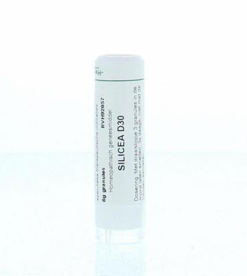 Homeoden Heel Silicea D30