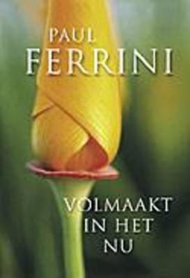 Ankh Hermes volmaakt in het nu boek