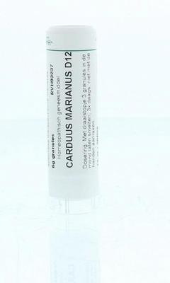Homeoden Heel Carduus marianus D12