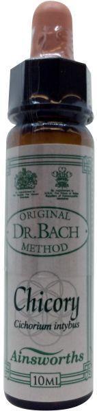 Chicory Bach