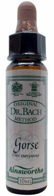 AINSWORTHB Gorse Bach