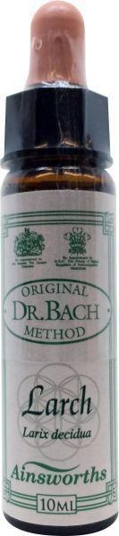 Larch Bach
