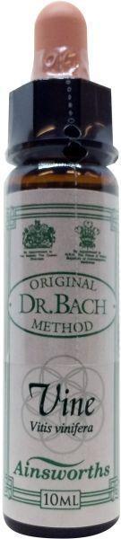 Vine Bach