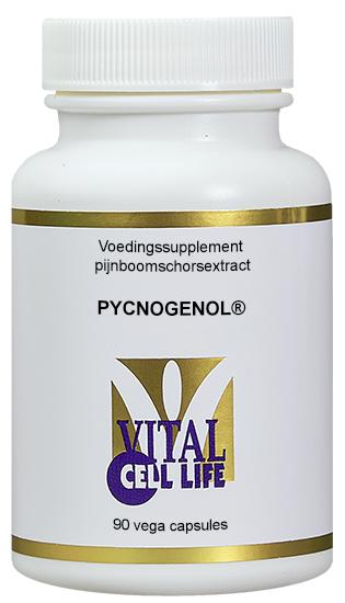 Pycnogenol
