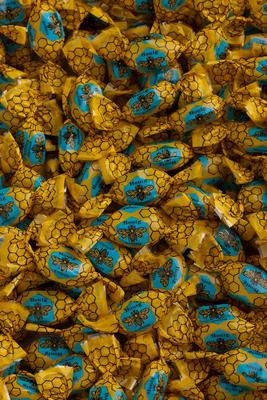 Van Vliet Honingbonbons honing speciaal