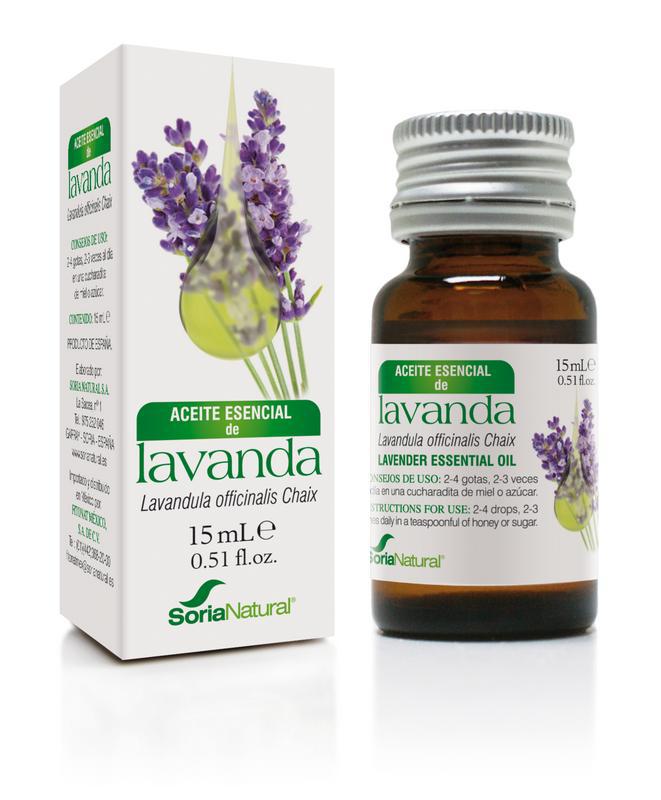 Lavandula officinalis