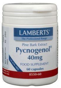 Lamberts Pijnboombast extract (Pycnogenol 40mg) Lamberts Pijnboombast extract (Pycnogenol 40mg)