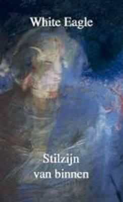 stilzijn van binnen boek