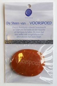 de steen van voorspoed 1kaart