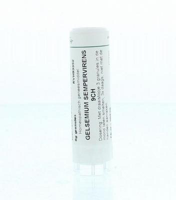 Homeoden Heel Gelsemium sempervirens 9CH