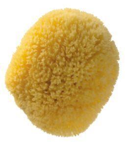 gezichtspons zee - 1st