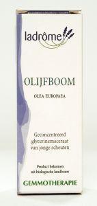 Merkloos olijfboom/olea europea ldp 15ml