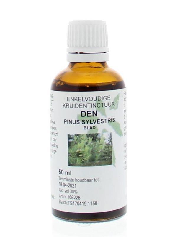 Pinus sylvestris fol / dennenaald tinctuur