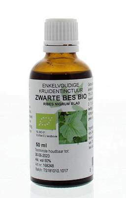 Natura Sanat Ribes nigrum / zwarte bes tinctuur bio