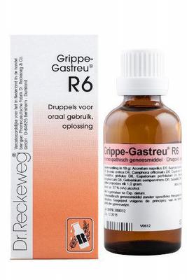 Reckeweg Grippe gastreu R6