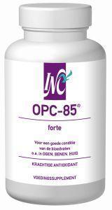 opc 85 forte inc @ 60cap