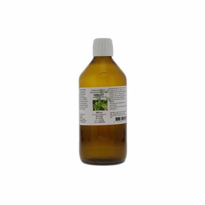 Natura Sanat Ginkgo / ginseng compl tinctuur