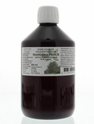 Natura Sanat Aesculus hippocast/paardenkastanje tinctuur