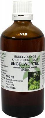 Cruydhof Angelica officinalis/engelwortel tinctuur bio